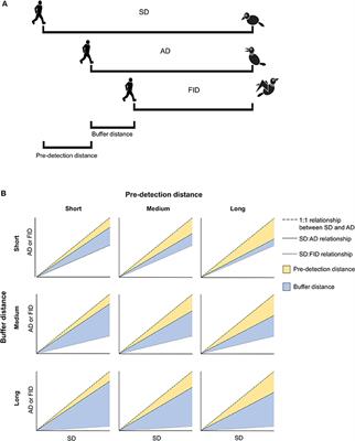 Rural-Urban Differences in Escape Behavior of European Birds across a Latitudinal Gradient